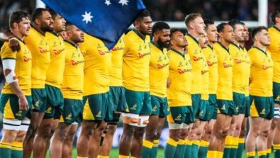 wallabies australie